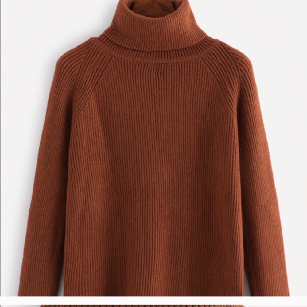 Burnt Orange Turtleneck